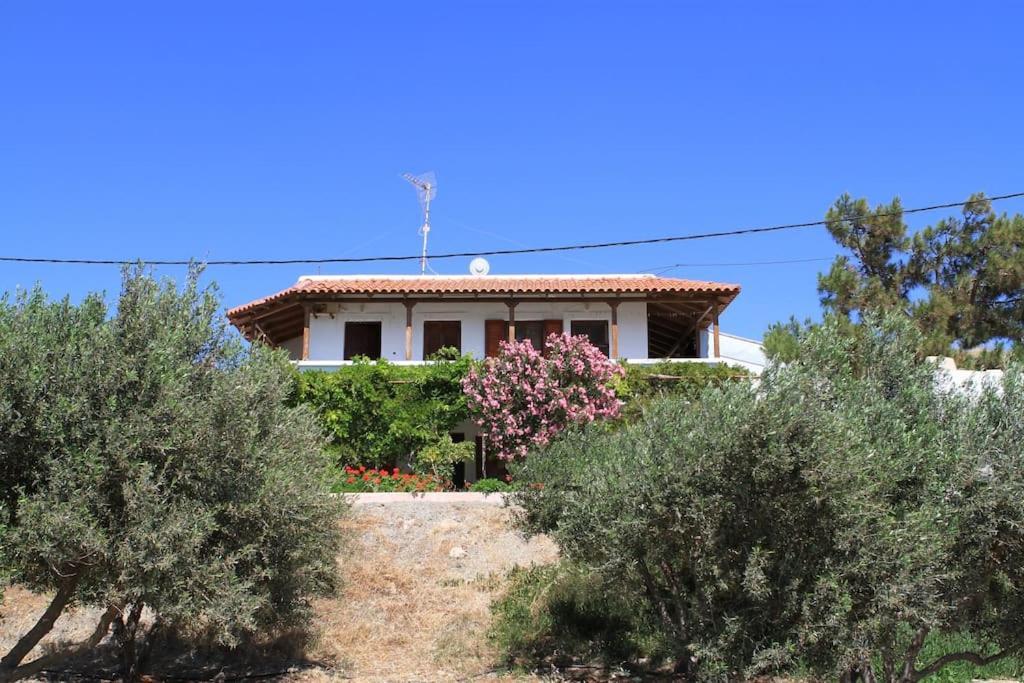 Traditional Olive House Makry Gialos  Exterior photo