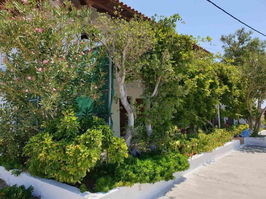 Traditional Olive House Makry Gialos  Exterior photo