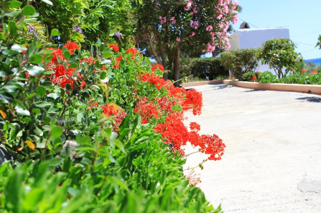 Traditional Olive House Makry Gialos  Exterior photo